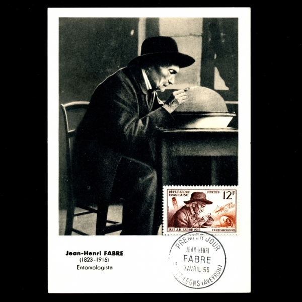 FRANCE()-߽øī(MAXIMUM CARD)-#790-12f-JEAN HENRI FABRE,ENTOMOLOGY(Ӹ ĺ긣)-1956.4.7