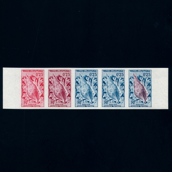 WALLIS AND FUTUNA ISLANDS(и Ǫ)-COLOR PROOF-#159-25c-SEA SHELLS,TRITON(ȼҶ)-1962