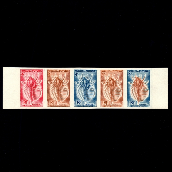 WALLIS AND FUTUNA ISLANDS(и Ǫ)-COLOR PROOF-#162-4f-SEA SHELLS,MUREX TENUSPINA( ׸ǳ)-1962
