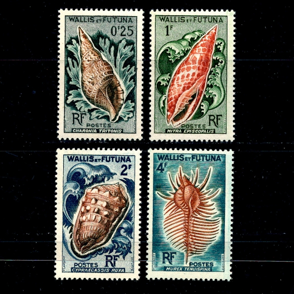 WALLIS AND FUTUNA ISLANDS(и Ǫ)-#159~162(4)-SEA SHELLS()-1962~63