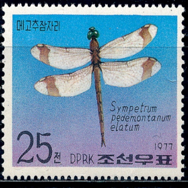 KOREA,DEMOCRATIC PEOPLE\