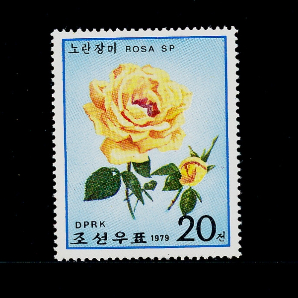 KOREA,DEMOCRATIC PEOPLE\