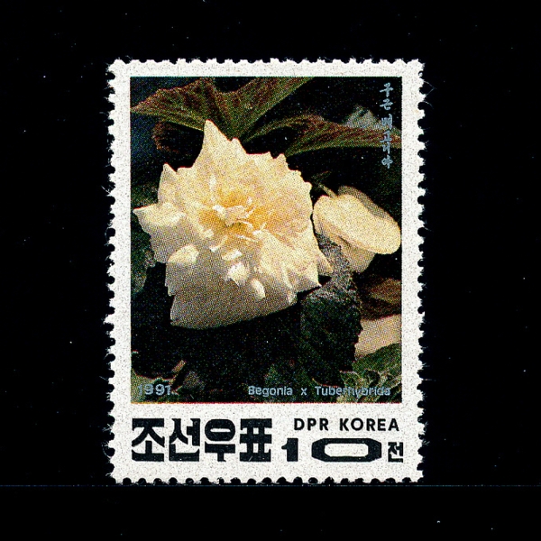 KOREA,DEMOCRATIC PEOPLE\