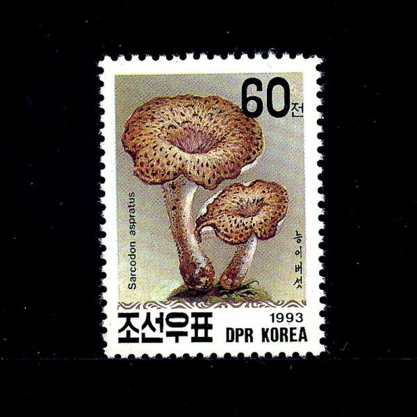 KOREA,DEMOCRATIC PEOPLE\