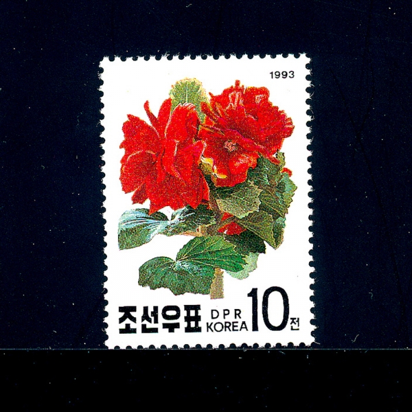 KOREA,DEMOCRATIC PEOPLE\