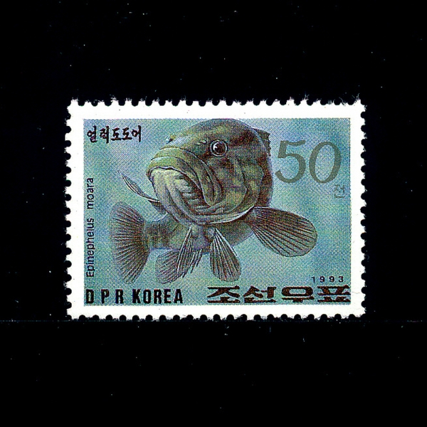 KOREA,DEMOCRATIC PEOPLE\