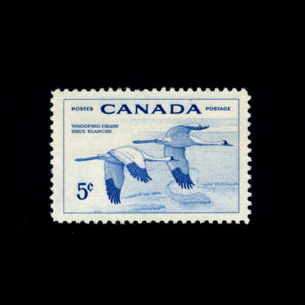 CANADA(캐나다)-#353-5c-WHOOPING CRANES(백일해 크레인)-1955.4.4일