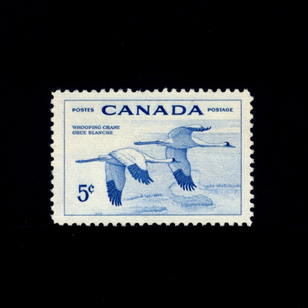 CANADA(ĳ)-#353-5c-WHOOPING CRANES( ũ)-1955.4.4