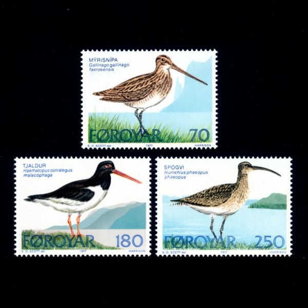 FAEROE ISLANDS( )-#28~30(3)-COMMON SNIPE(Ϲ )-1977.9.29