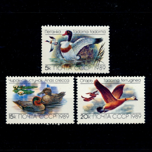 RUSSIA(þ)-#5783~5(3)-DUCKS()-1989.7.1