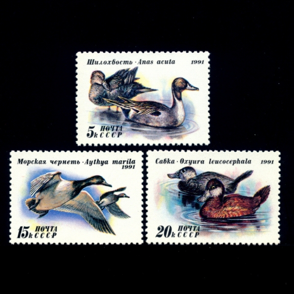 RUSSIA(þ)-#6009~11(3)-DUCKS()-1991.7.1