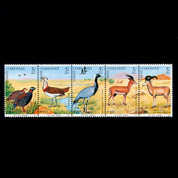 TURKEY(Ű)-#B169~73(5)-EUROPEAN WILDLIFE CONSERVATION YEAR( ߻  )-1979.12.3