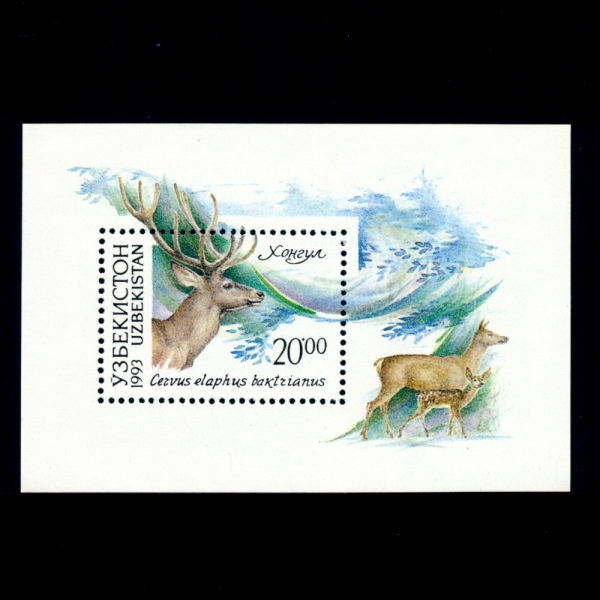 UZBEKISTAN(Űź)-SOUVENIR SHEET-#14-20r-CERVUS ELAPHUS BAKTRIANUS(Ʈ 罿)-1993.3.12