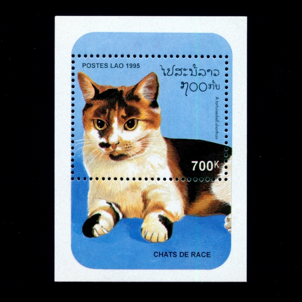 LAOS()-SOUVENIR SHEET-#1236-700k-TORTOISE-SHELL SHORTHAIR(ź )-1995.7.25