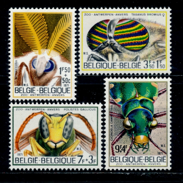 BELGIUM(⿡)-#B879~82(4)-INSECTS()-1971.12.11