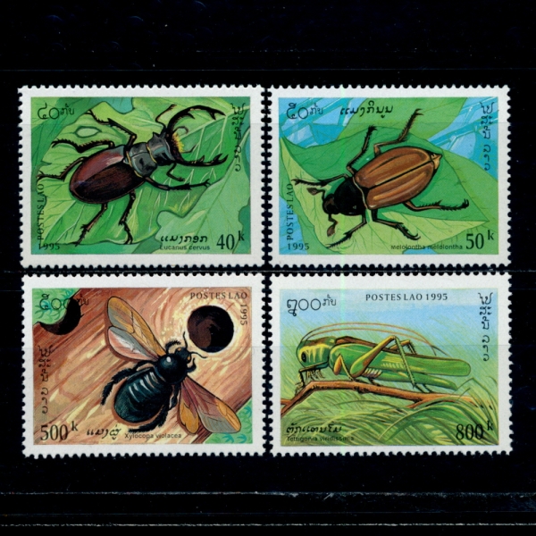 LAOS()-#1243~6(4)-INSECTS()-1995.9.20