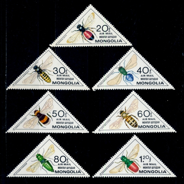 MONGOLIA()-#C129~35(7)-INSECTS()-1980.2.25