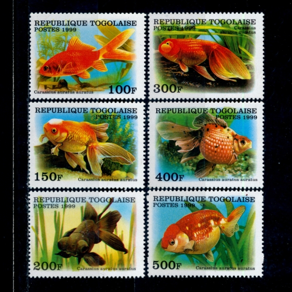 TOGO()-#1894~9(6)-GOLDFISH(ݺؾ)-1999