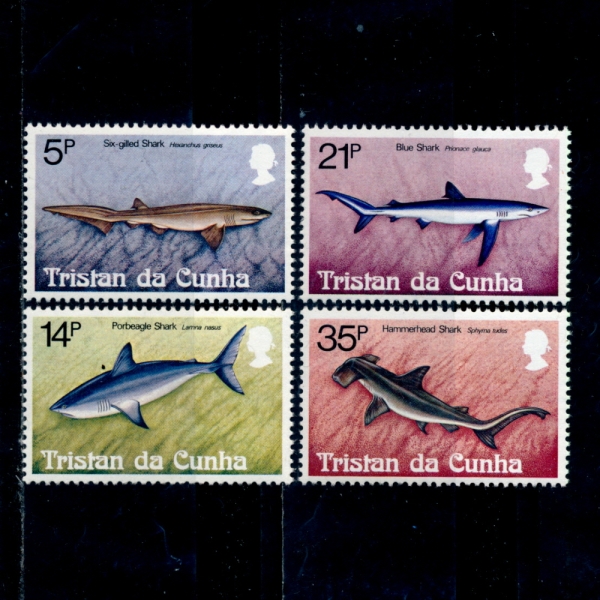 TRISTAN DA CUNHA(Ʈź  )-#302~5(4)-SHARK()-1982.2.8