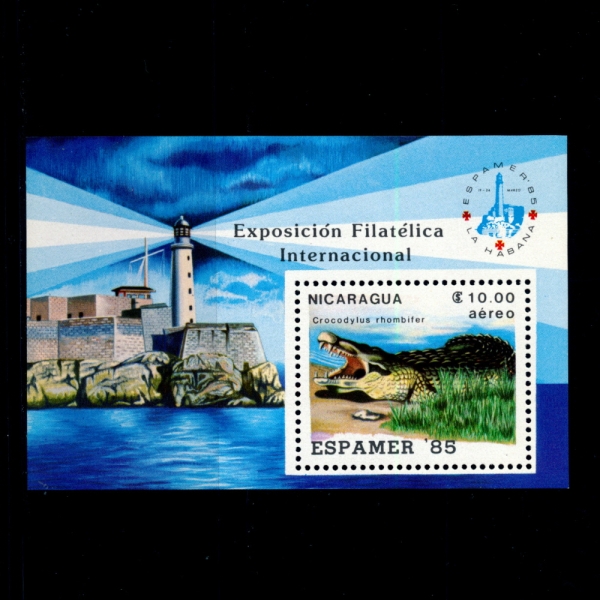 NICARAGUA(ī)-SOUVENIR SHEET-#C1050-10cor-CROCODYLUS RHOMBIFER( Ǿ)-1985.3.19