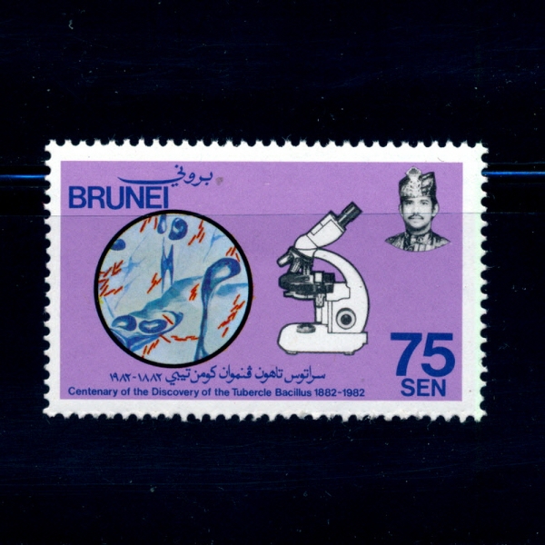 BRUNEI(η)-#277-75c-BACILLUS, MICROSCOPE(ٽǷ,̰)-1982.3.24