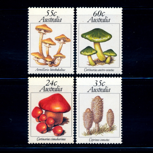 AUSTRALIA(Ʈϸ)-#806~9(4)-MUSHROOMS AND FUNGI(,)-1981.8.19