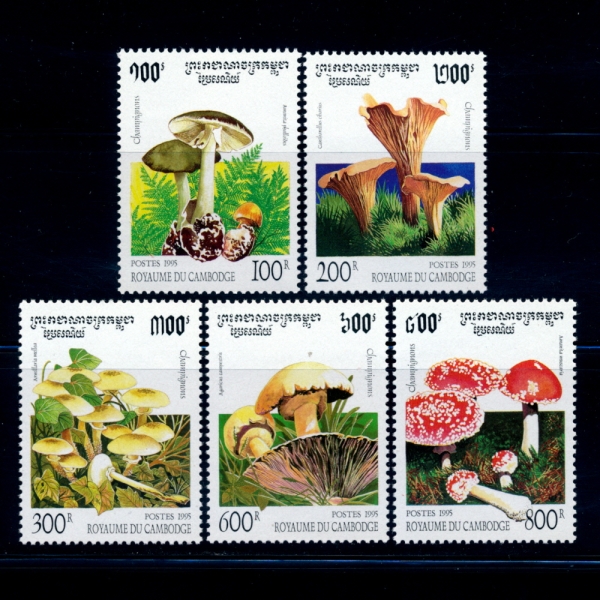 CAMBODIA(į)-#1426~30(5)-MUSHROOMS()-1995.3.23