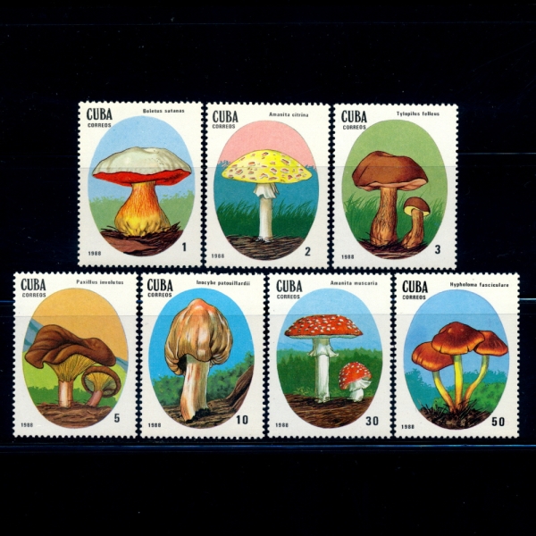 CUBA()-#3000~6(7)-POISONOUS MUSHROOMS( ߵ)-1988.2.15