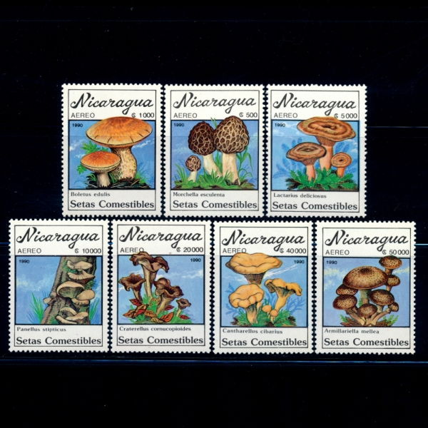 NICARAGUA(ī)-#C1197~203(7)-MUSHROOMS()-1990.7.15