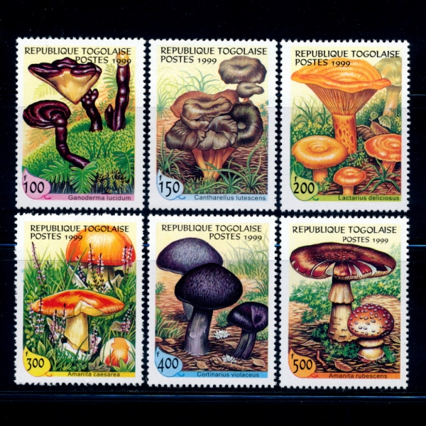 TOGO()-#1882O~T(6)-MUSHROOMS()-1999.2.23