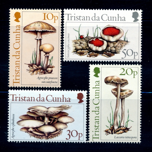 TRISTAN DA CUNHA(Ʈź  )-#352~5(4)-MUSHROOMS AND LOCAL FUNGI(,߻)-1984.3.26