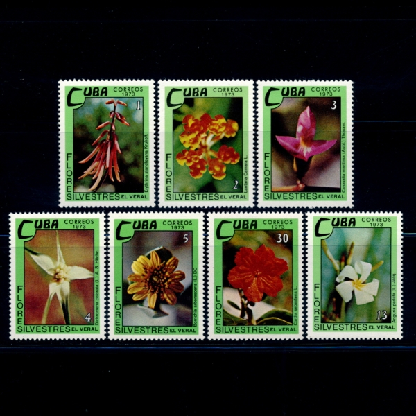 CUBA()-#1834~40(7)-FLOWERING PLANTS( Ǵ Ĺ)-1973.9.28