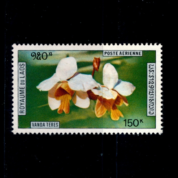 LAOS()-#C89-150f-VANDA TERES(ݴ)-1972.5.5