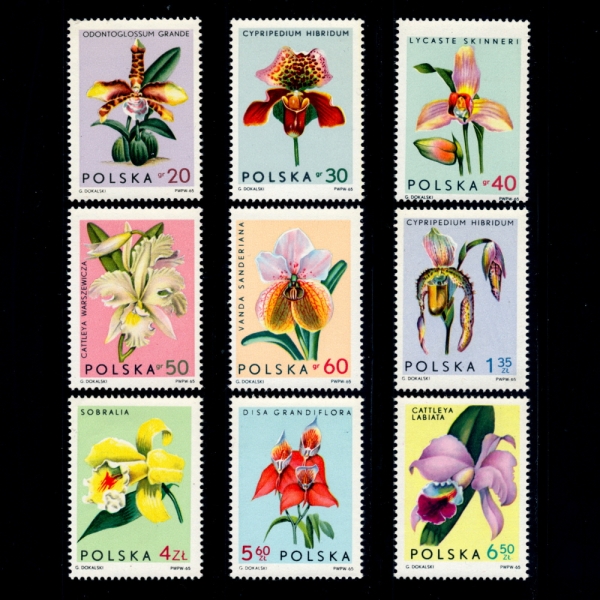 POLAND()-#1346~54(9)-ORCHIDS()-1965.9.6