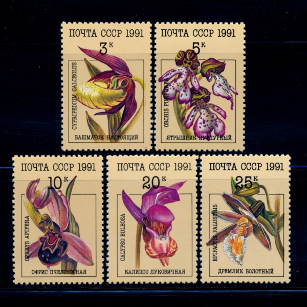 RUSSIA(þ)-#5994~8(5)-ORCHIDS()-1991.5.7