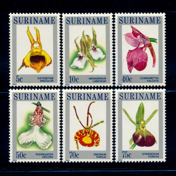 SURINAM()-#663~8(6)-ORCHIDS()-1984.1.11