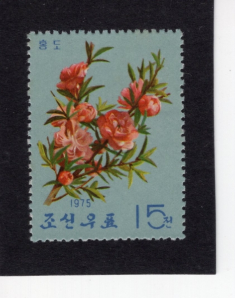 KOREA,DEMOCRATIC PEOPLE\