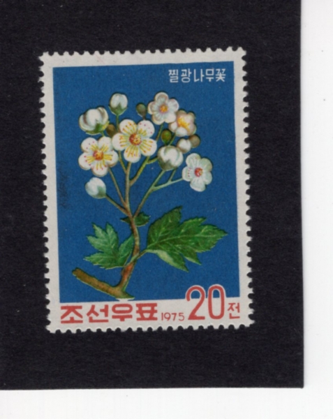 KOREA,DEMOCRATIC PEOPLE\