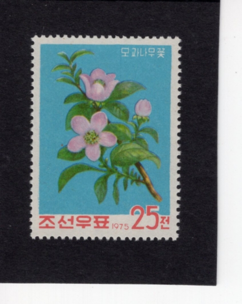 KOREA,DEMOCRATIC PEOPLE\