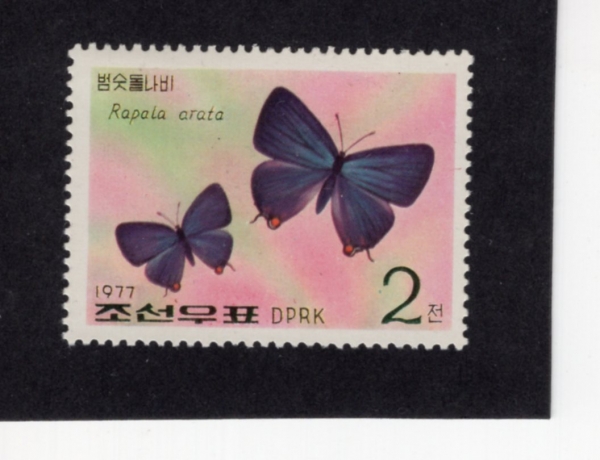 KOREA,DEMOCRATIC PEOPLE\