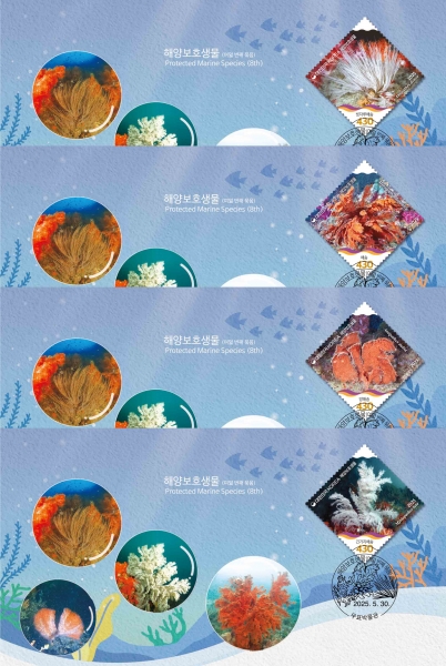 ؾ纸ȣ( ° )-4-ǥڹ  Ϻ(FDC)-ǥڹ -2025.5.30