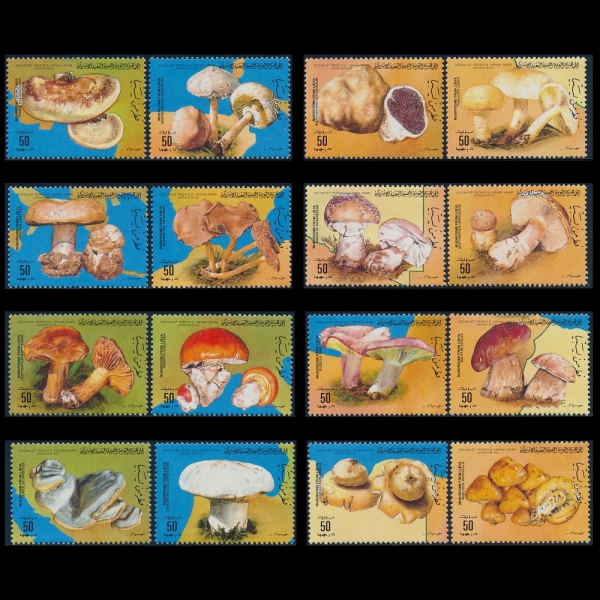 LIBYA()-#1268a~p(16)-MUSHROOMS()-1985.7.15