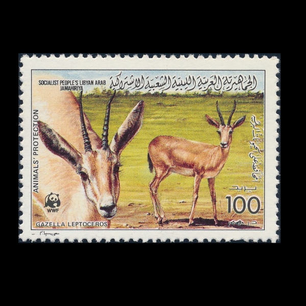 LIBYA()-#1325-100d-GAZELLA LEPTOCEROS(δ )-1987.3.2