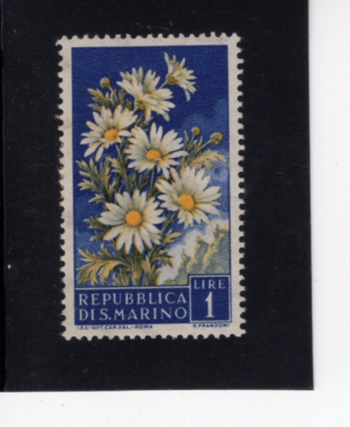 SAN MARINO(긶)-#394-1 I-DAISIES AND VIEW OF SAN MARINO()-1957.8.31