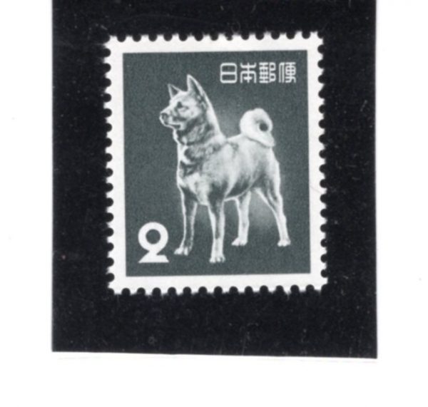 JAPAN(Ϻ)-#583-2y-AKITA DOG(ŰŸ)-1953