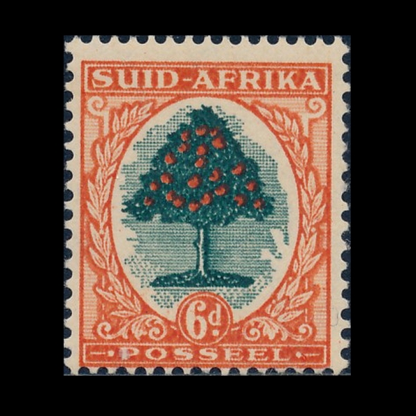 SOUTH AFRICA(īȭ)-#25-6p-ORANGE TREE(ַ)-1926