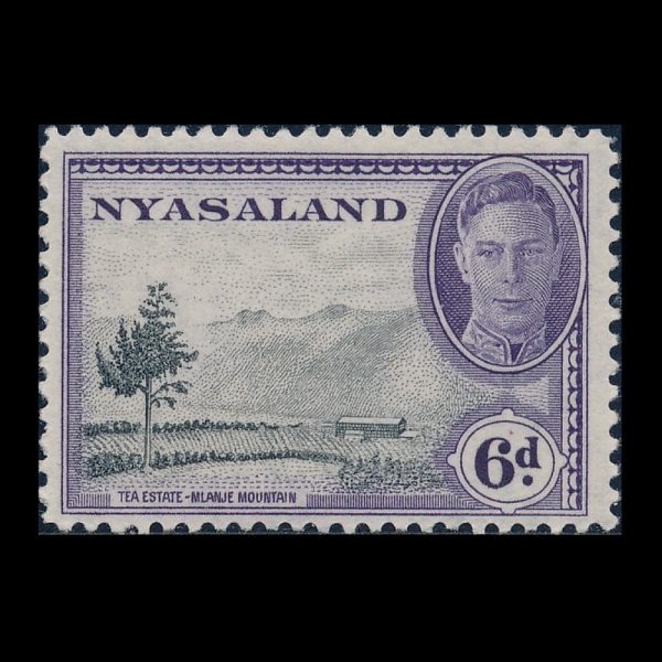 NYASLAND PROTECTORATE(Ͼƻ췣)-#74-6p-TEA ESTATE, MLANJE MOUNTAIN( ,  )-1945.9.1