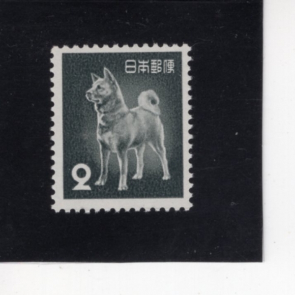 JAPAN(Ϻ)-#583-2y-AKITA DOG(ŰŸ )-1953