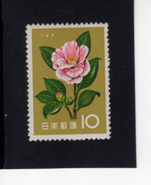 JAPAN(Ϻ)-#714-10y-CAMELLIA()-1961