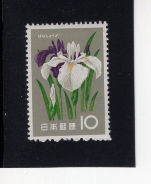 JAPAN(Ϻ)-#717-10y-IRIS(ײ)-1961